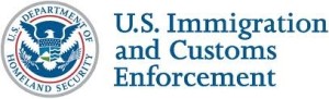 ICE logo