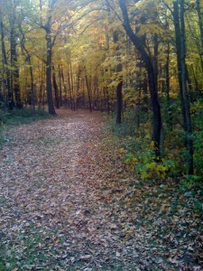Fall at Cleary Lake Park