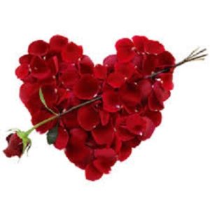 heart-of-flowers-roses